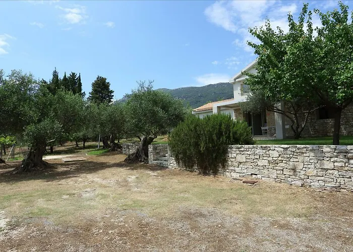 Olive Ano Korakiana